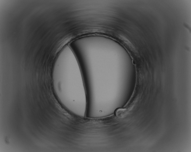 X0000096650977200802050930