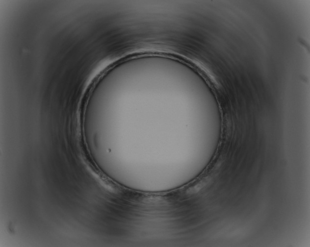 X0000096650982200802050930