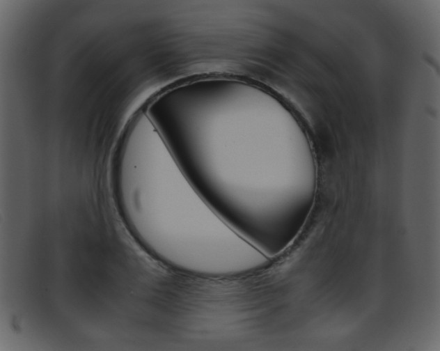 X0000096650983200802050930
