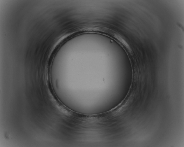 X0000096650984200802050930