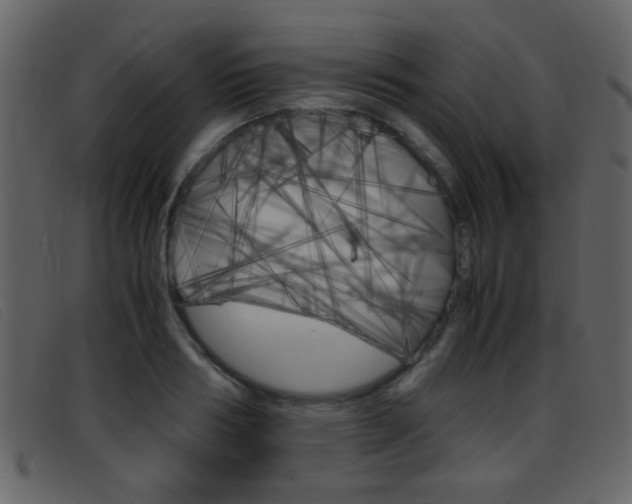 X0000096650986200802050930