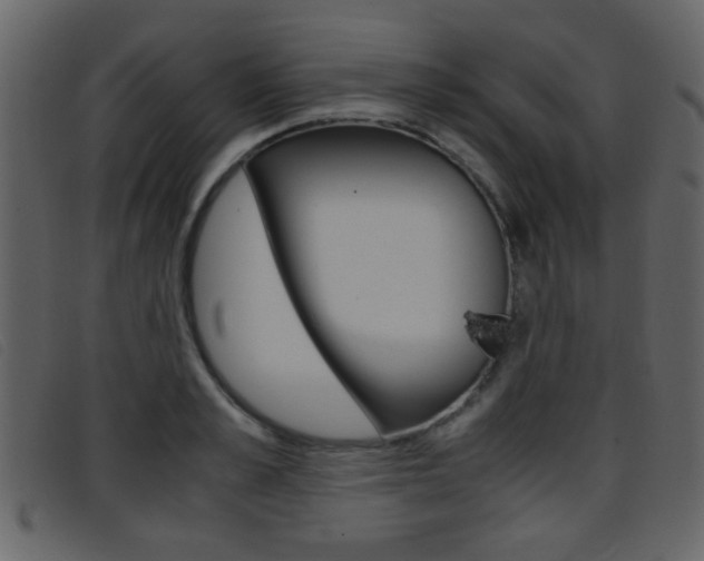 X0000096650989200802050930