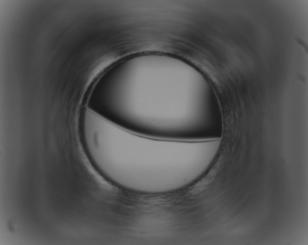 X0000096650991200802050930