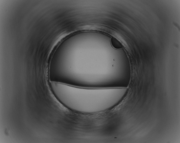 X0000096650992200802050930