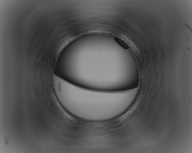 X0000096650993200802050930