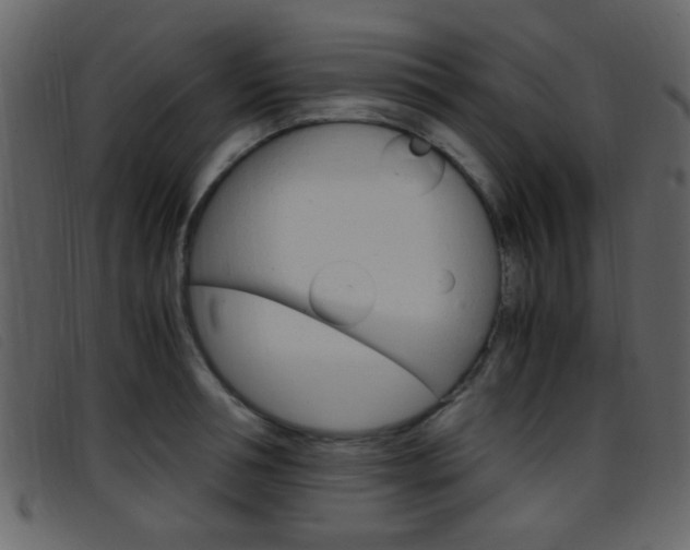 X0000096650994200802050930
