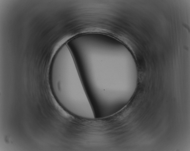 X0000096650995200802050929