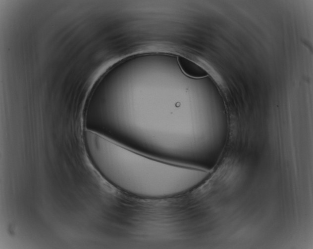 X0000096650996200802050929