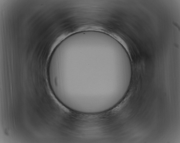 X0000096650997200802050929