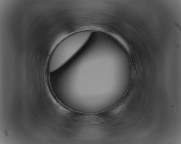 X0000096650999200802050929