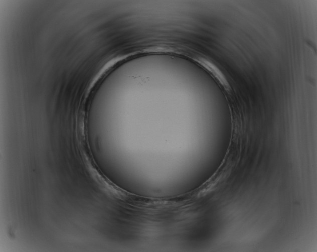 X0000096651000200802050929