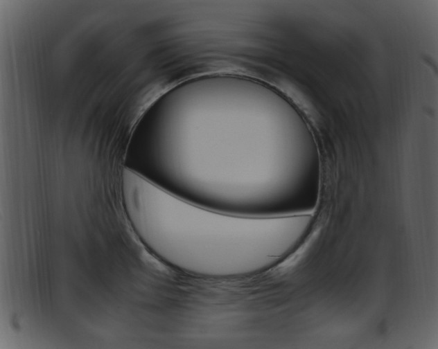 X0000096651001200802050929