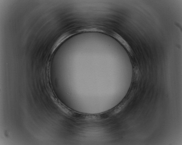X0000096651002200802050929