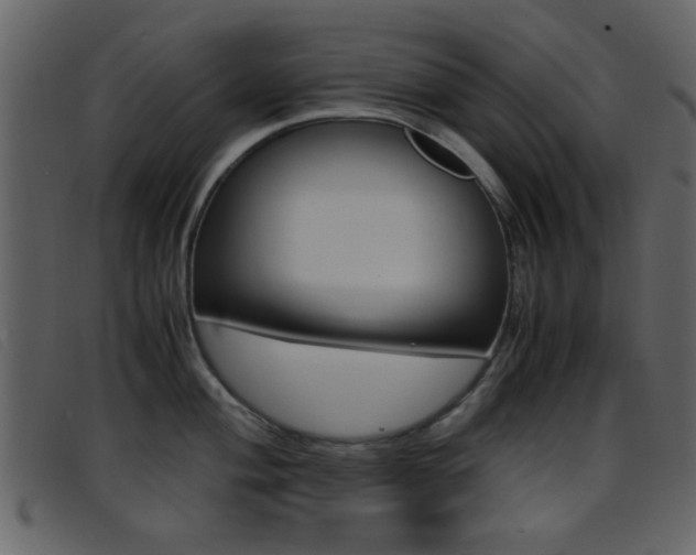 X0000096651004200802050929
