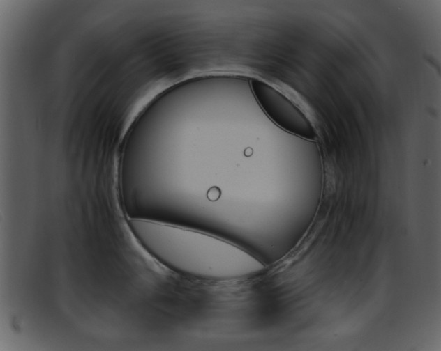 X0000096651006200802050929