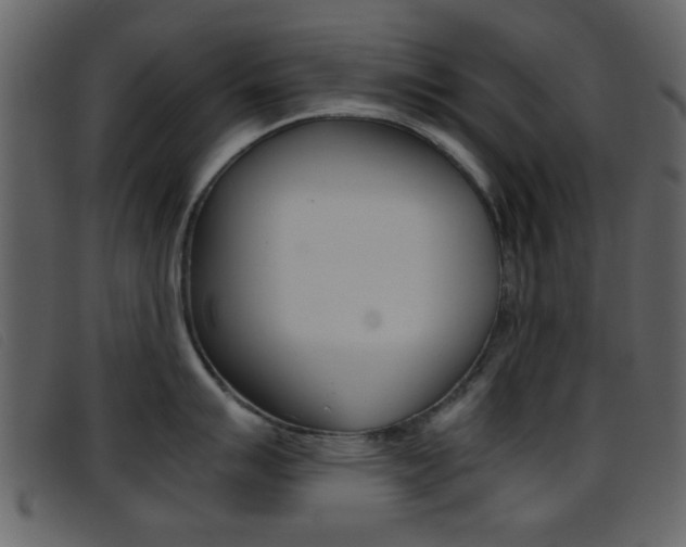 X0000096651007200802050929