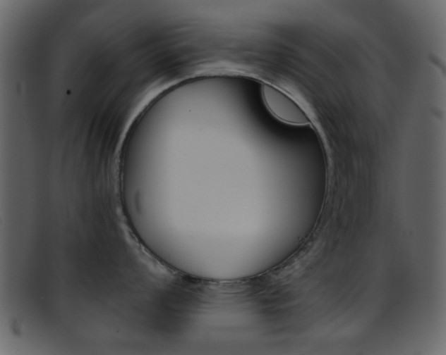 X0000096651008200802050929