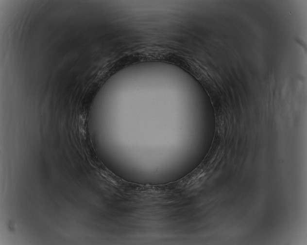 X0000096651010200802050929