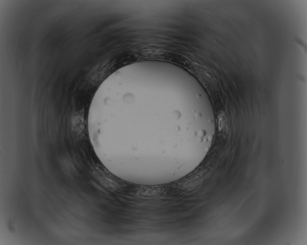 X0000096651011200802050929
