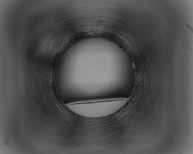 X0000096651012200802050929