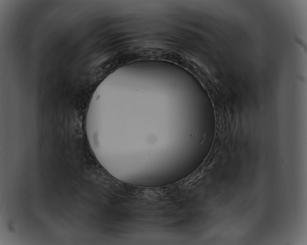 X0000096651013200802050929