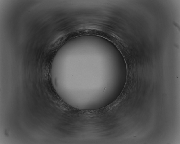 X0000096651014200802050929