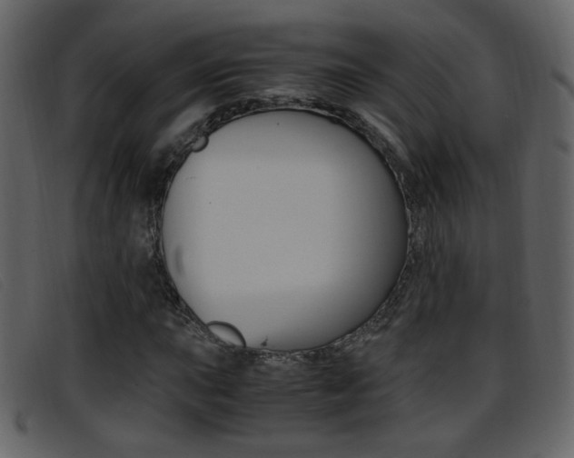 X0000096651015200802050929