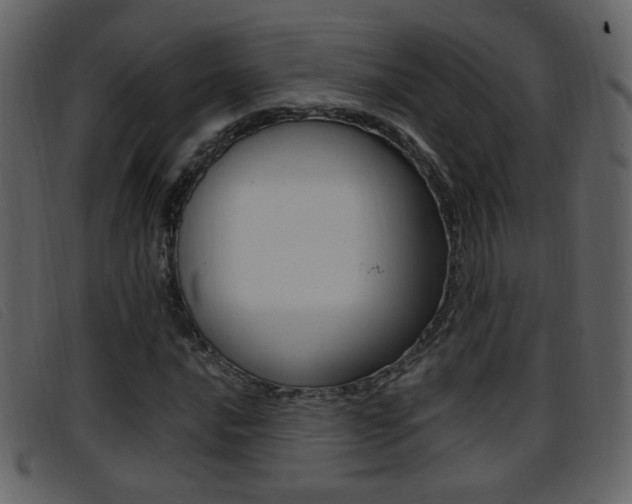 X0000096651016200802050929