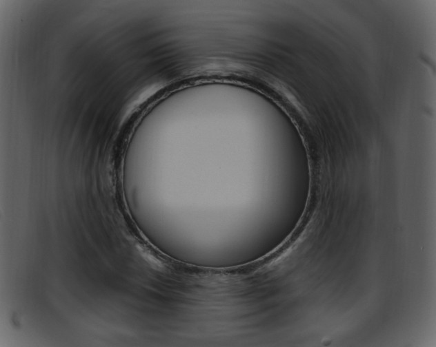 X0000096651018200802050929