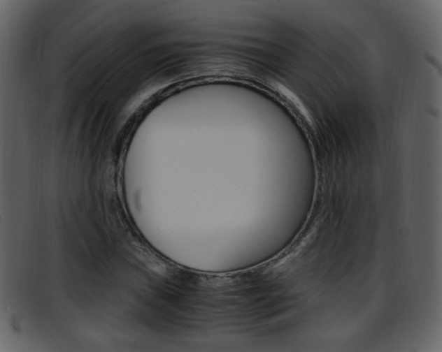 X0000096651019200802050929