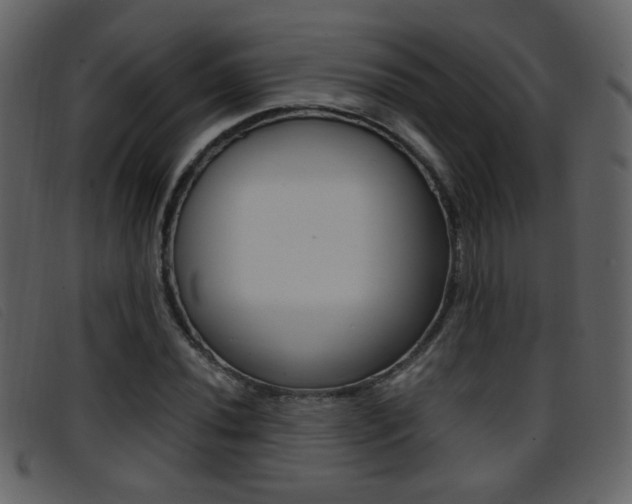 X0000096651020200802050929