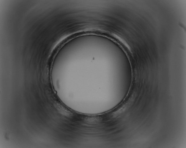 X0000096651021200802050929