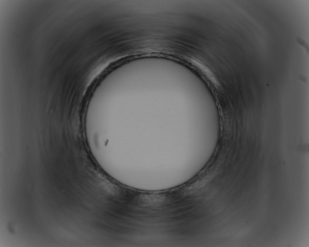 X0000096651023200802050929