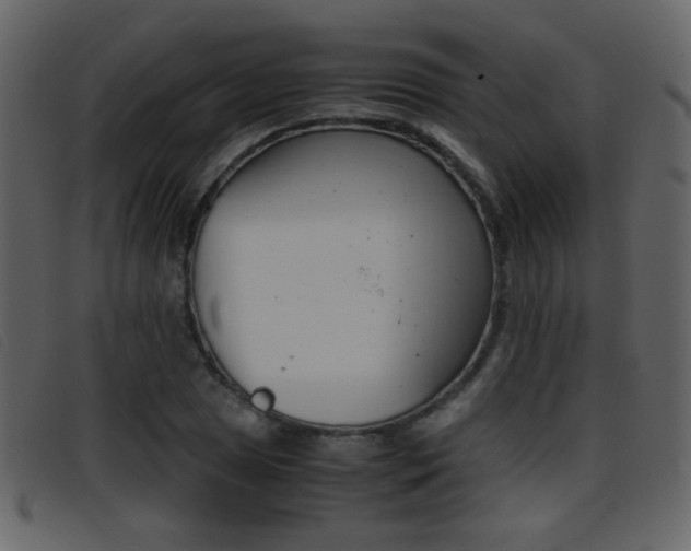 X0000096651025200802050929