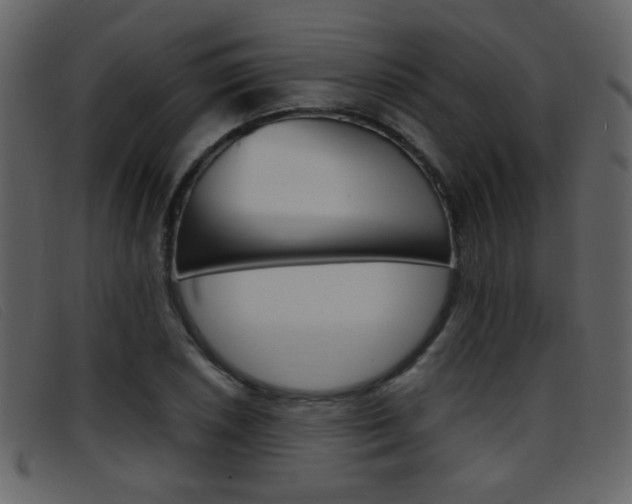 X0000096651026200802050929