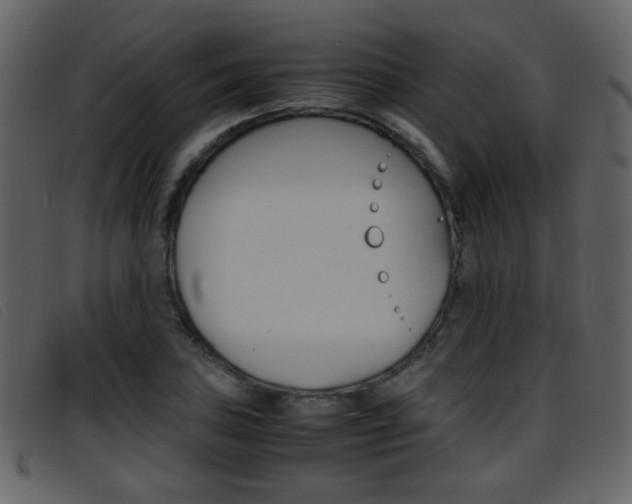X0000096651027200802050929