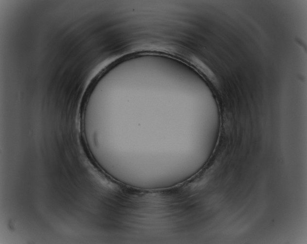 X0000096651028200802050929