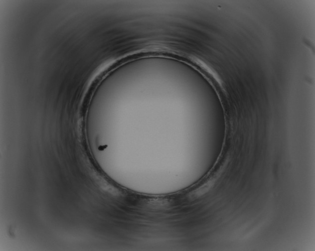 X0000096651029200802050929
