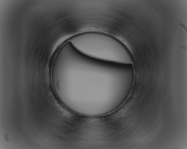 X0000096651030200802050929