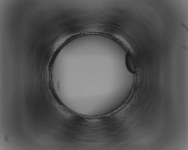 X0000096651031200802050929