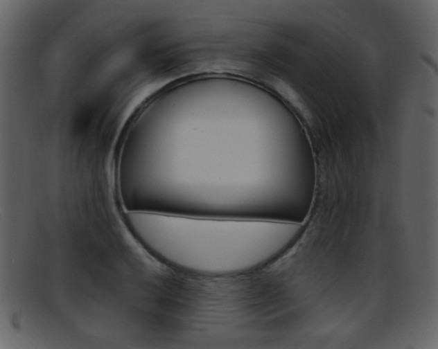 X0000096651032200802050929