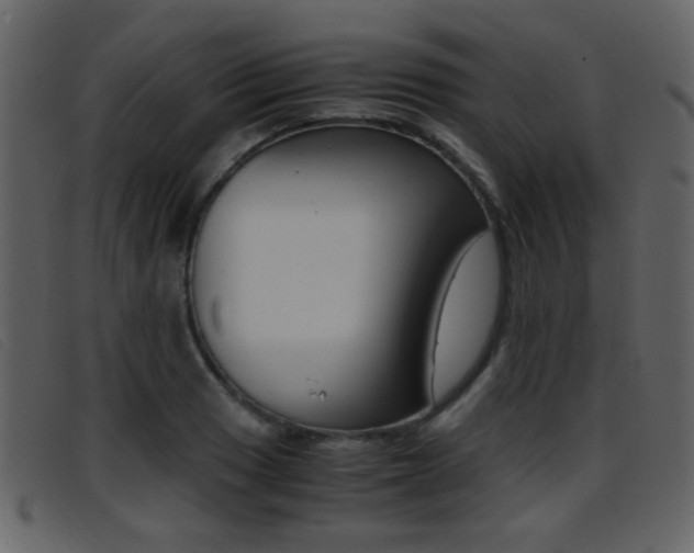 X0000096651033200802050929