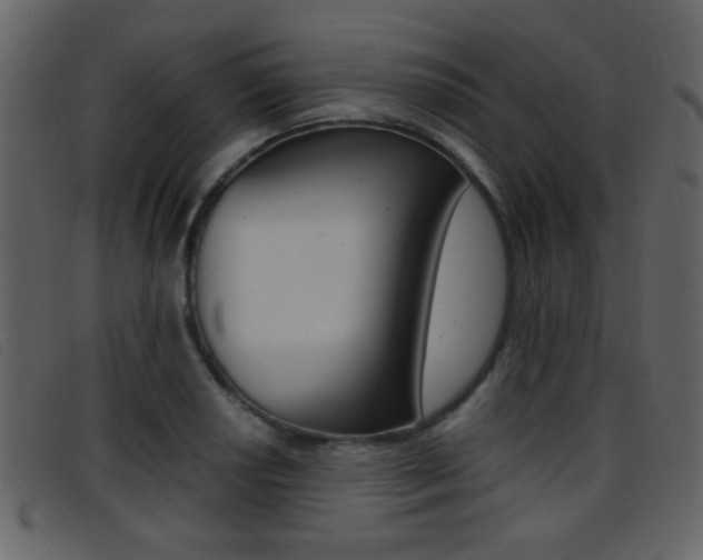 X0000096651034200802050929