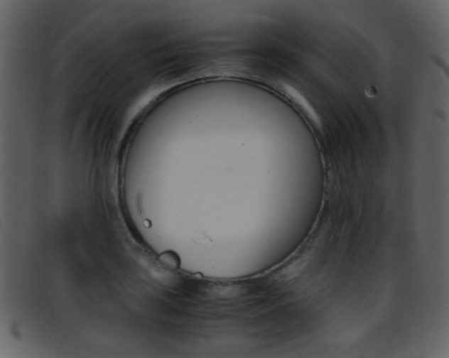 X0000096651035200802050929