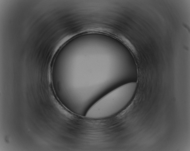 X0000096651036200802050929