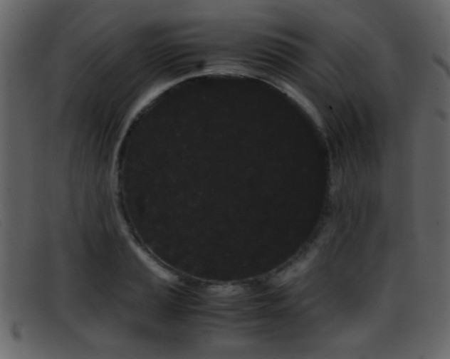 X0000096651037200802050929