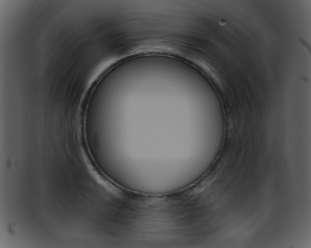 X0000096651038200802050929