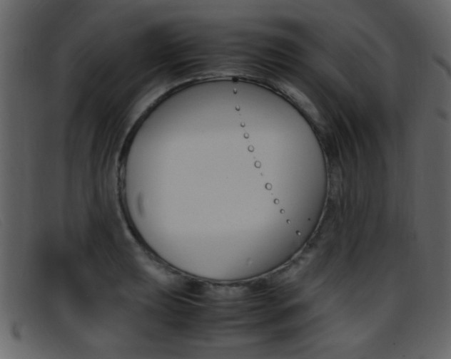 X0000096651039200802050929