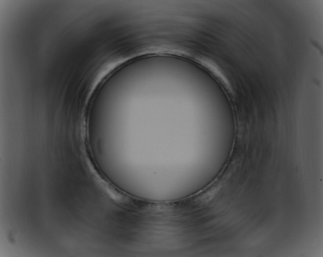 X0000096651040200802050929