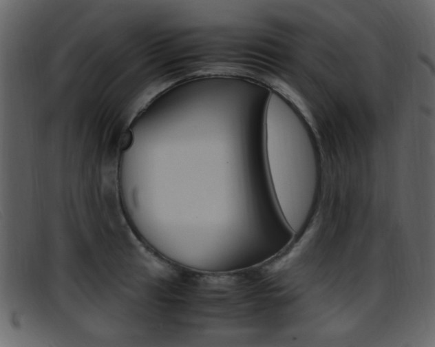 X0000096651041200802050929